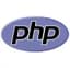 PHP scripting for WordPress plugin development service