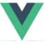 Vue.js support by WordPress plugin development service provider