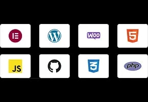 Custom WordPress plugin solutions by expert development agency