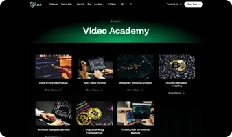 Expert Framer development agency delivering cutting-edge websites with a focus on design, interactivity, and user experience.