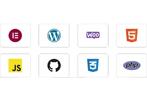 Professional WordPress plugin solutions by an expert development agency (ElectronThemes)