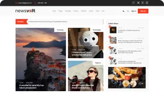 Custom WordPress theme design by expert development agency