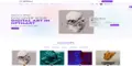Cover image for ElectronThemes WordPress themes development agency intro video