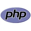 PHP scripting for WordPress plugin development service